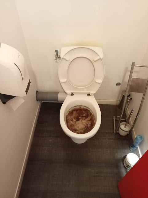 WC bouché avec eau stagnante - débouchage WC, toilettes